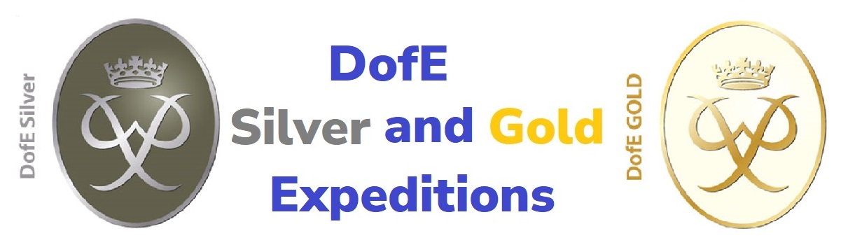 Silver Dofe Logo Duke Of Edinburgh s Award Bronze Silver Gold 